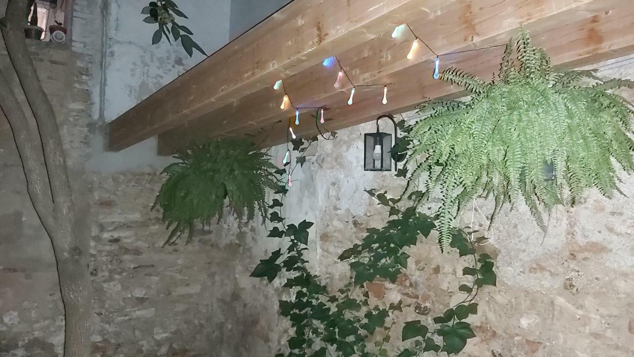 Affittacamere Casa Font Benissanet Esterno foto